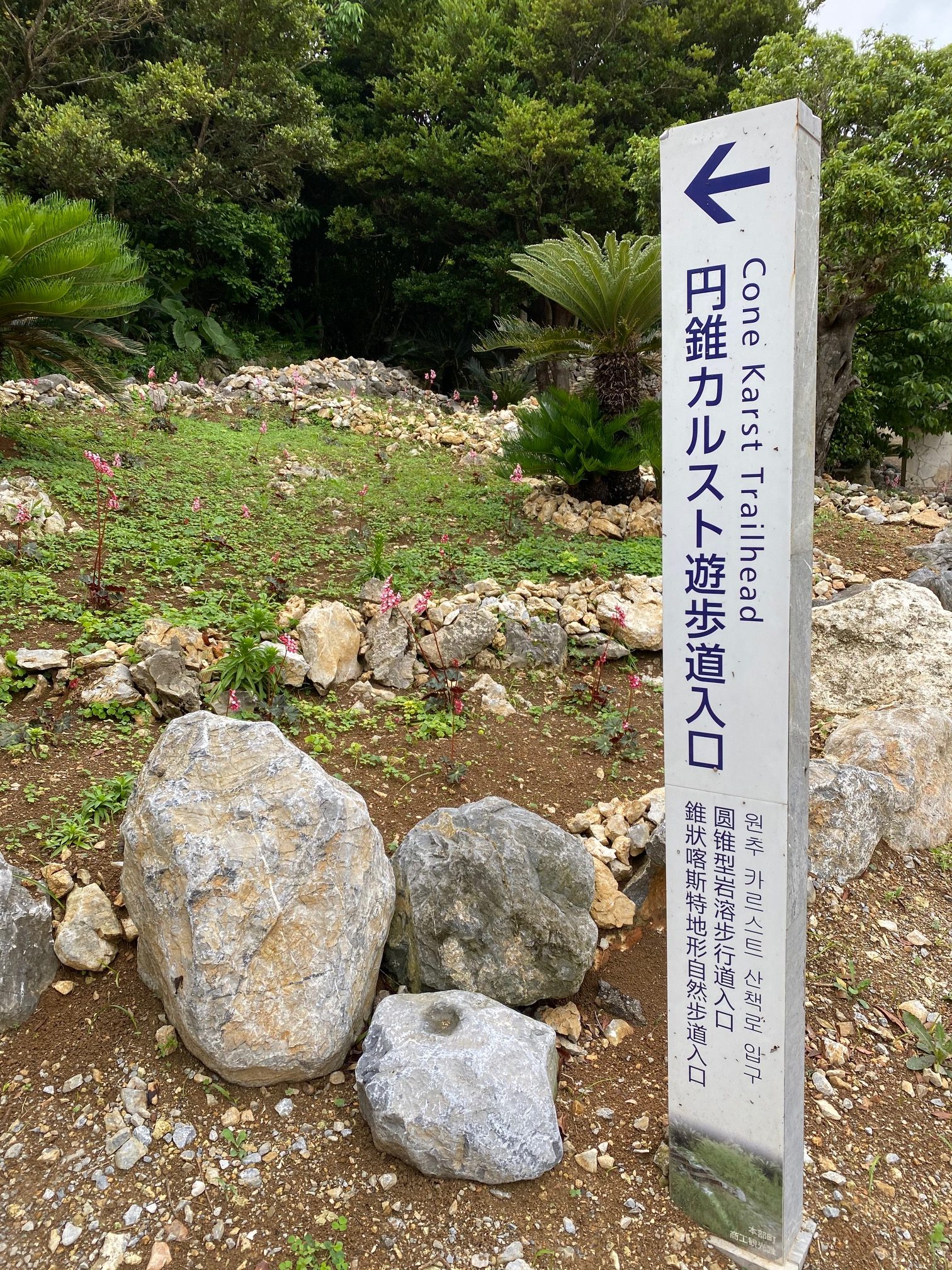 沖縄県国頭郡志 富士に登ろう | 沖縄宝島つうしん